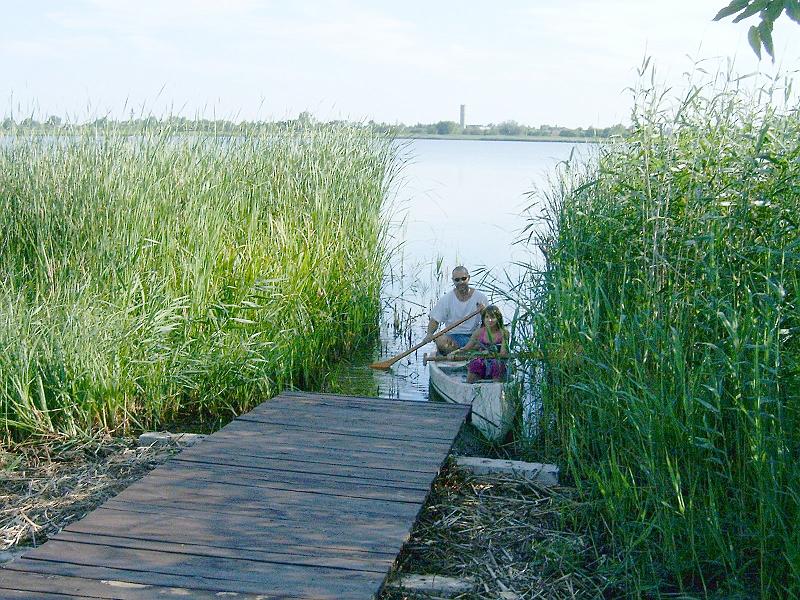2010.07.08. 003.jpg
